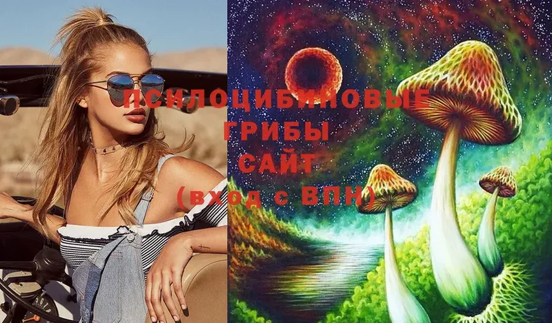 Галлюциногенные грибы Magic Shrooms  купить  сайты  Александровск 